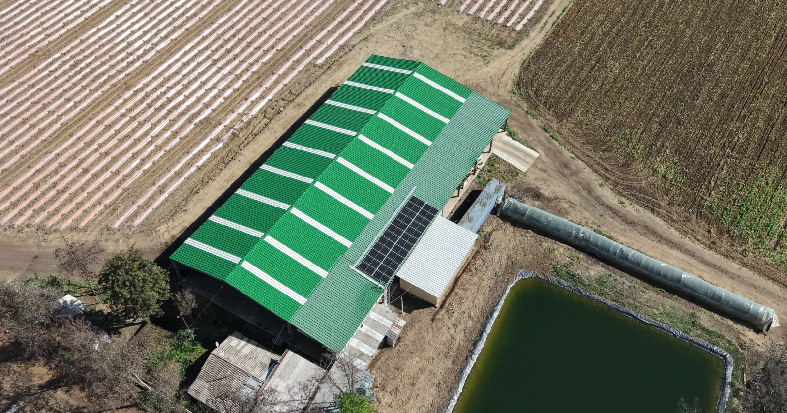 Acompañando a las empresas hacia la energía solar